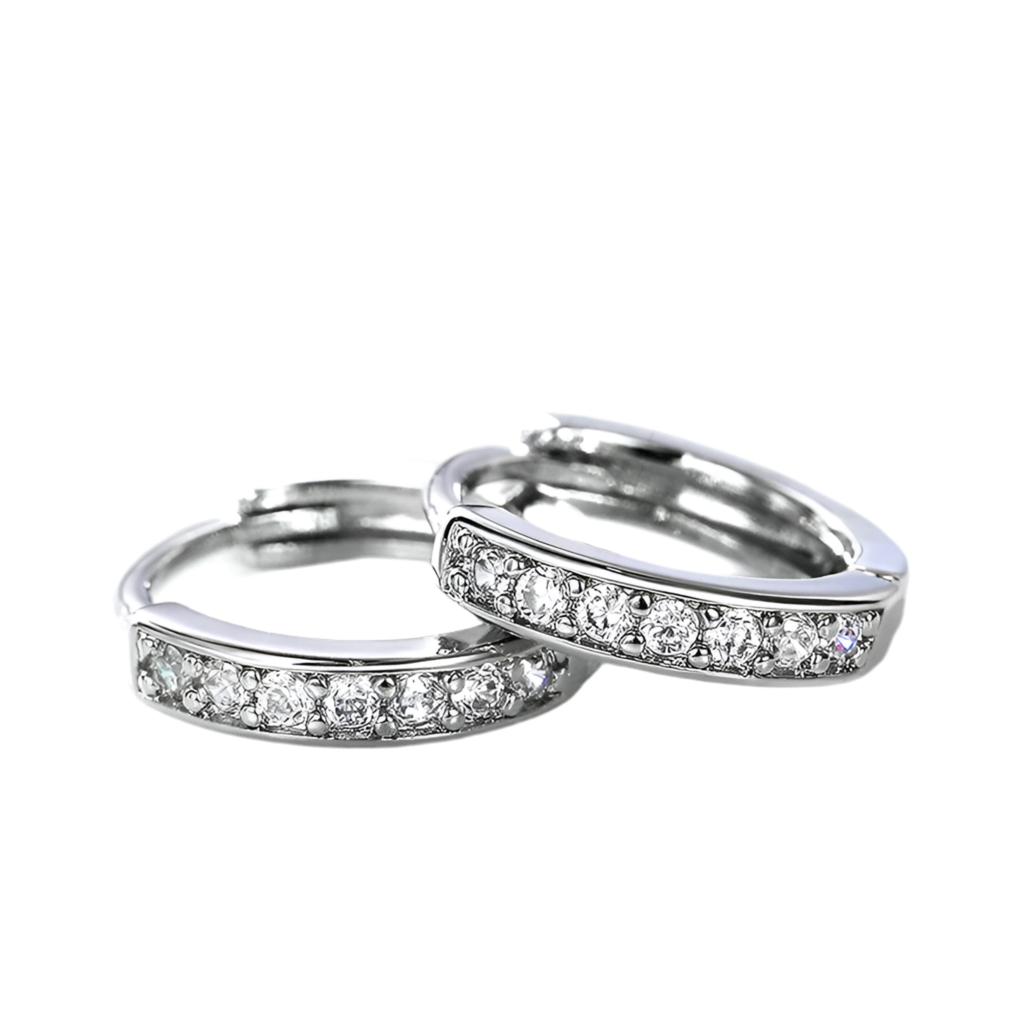 Circle sparkling earrings