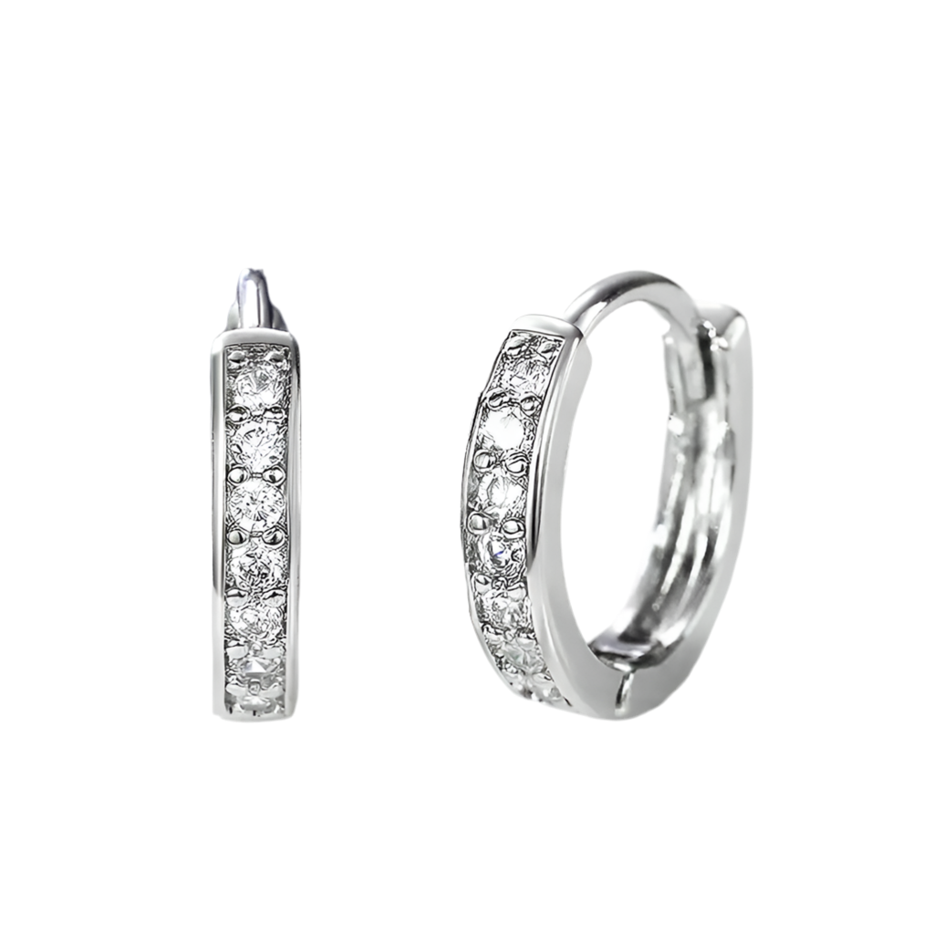 Circle sparkling earrings