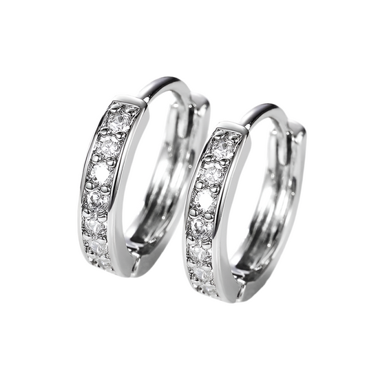 Circle sparkling earrings