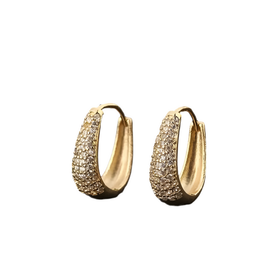 Sparkling earrings